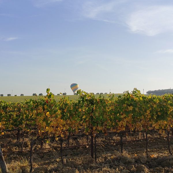 Booking balloon Tour in Tuscany